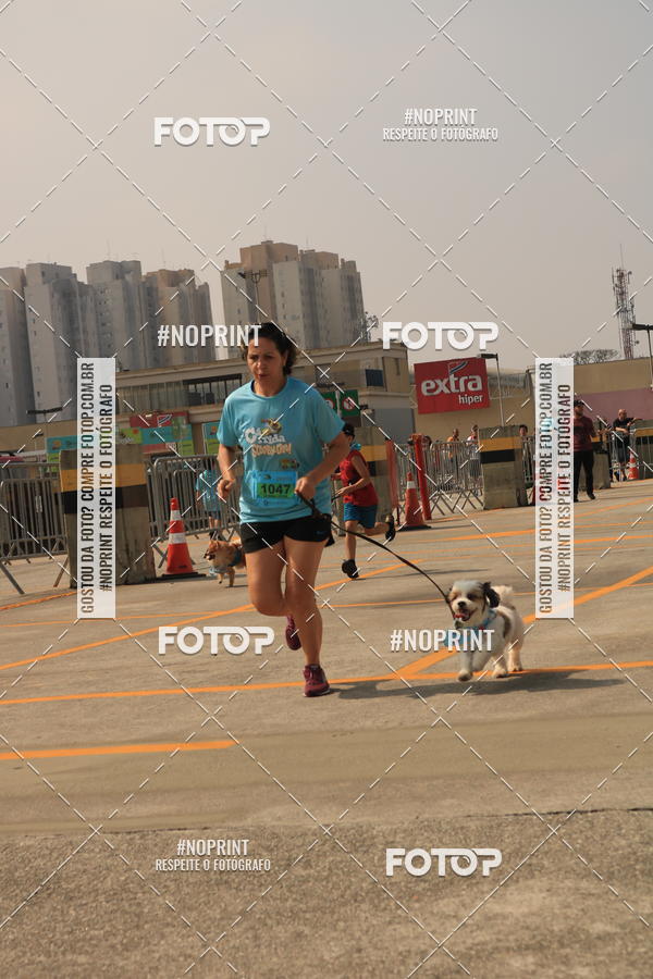 Buy your photos of the eventCorrida Scooby Doo Internacional Shopping Guarulhos 2019 on Fotop