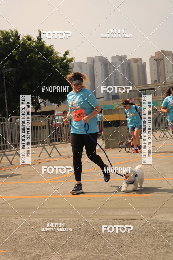 Buy your photos of the eventCorrida Scooby Doo Internacional Shopping Guarulhos 2019 on Fotop