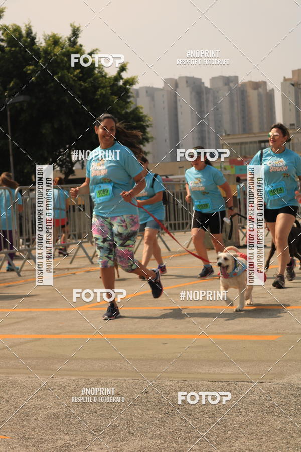 Buy your photos of the eventCorrida Scooby Doo Internacional Shopping Guarulhos 2019 on Fotop