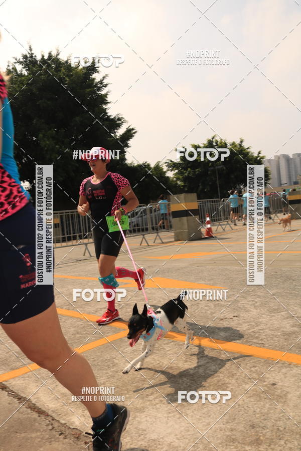 Buy your photos of the eventCorrida Scooby Doo Internacional Shopping Guarulhos 2019 on Fotop