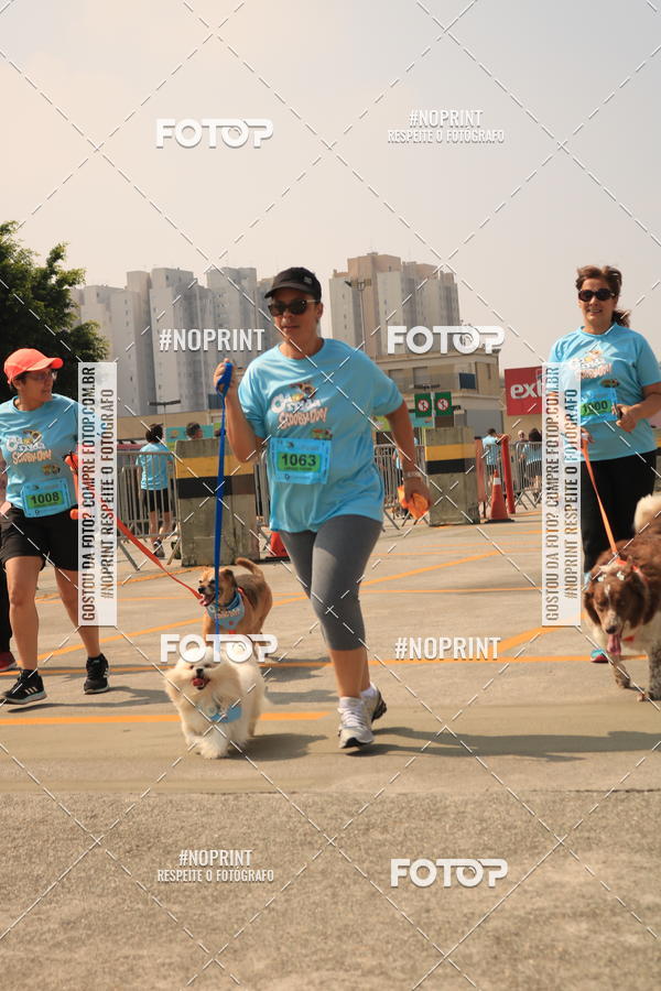 Buy your photos of the eventCorrida Scooby Doo Internacional Shopping Guarulhos 2019 on Fotop