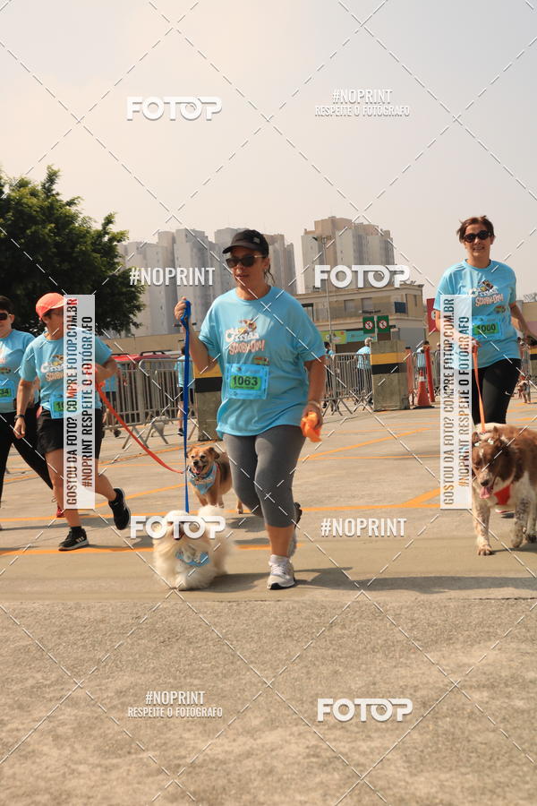 Buy your photos of the eventCorrida Scooby Doo Internacional Shopping Guarulhos 2019 on Fotop