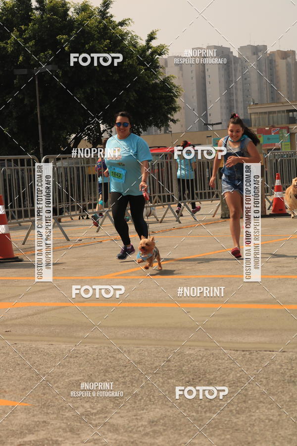 Buy your photos of the eventCorrida Scooby Doo Internacional Shopping Guarulhos 2019 on Fotop