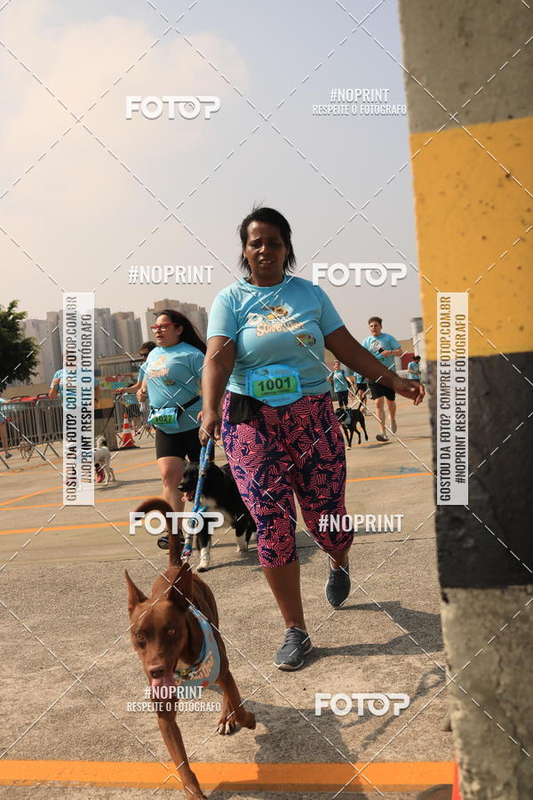 Buy your photos of the eventCorrida Scooby Doo Internacional Shopping Guarulhos 2019 on Fotop