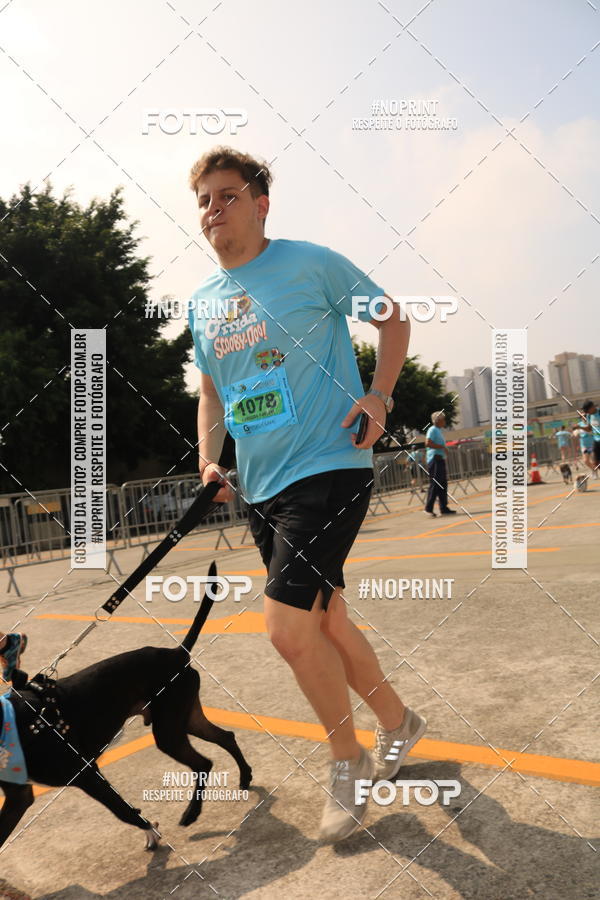 Buy your photos of the eventCorrida Scooby Doo Internacional Shopping Guarulhos 2019 on Fotop
