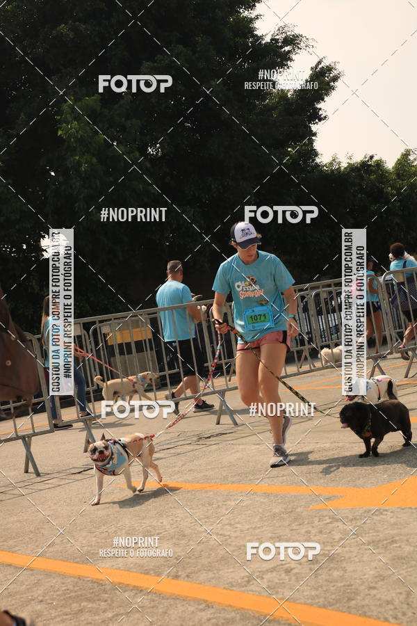 Buy your photos of the eventCorrida Scooby Doo Internacional Shopping Guarulhos 2019 on Fotop