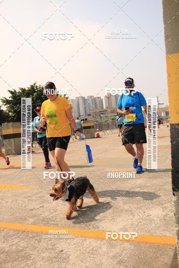 Buy your photos of the eventCorrida Scooby Doo Internacional Shopping Guarulhos 2019 on Fotop