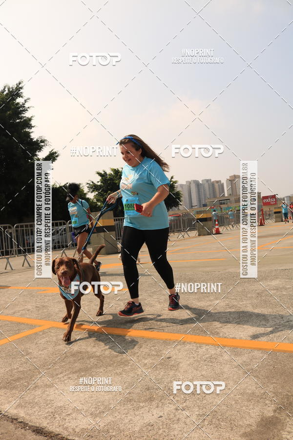 Buy your photos of the eventCorrida Scooby Doo Internacional Shopping Guarulhos 2019 on Fotop