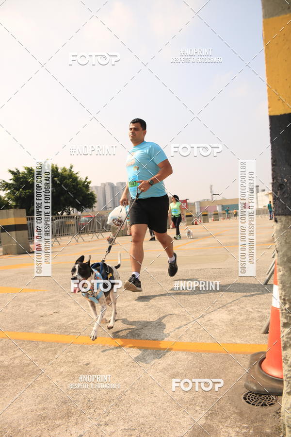 Buy your photos of the eventCorrida Scooby Doo Internacional Shopping Guarulhos 2019 on Fotop