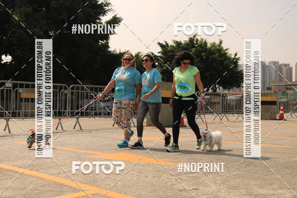 Buy your photos of the eventCorrida Scooby Doo Internacional Shopping Guarulhos 2019 on Fotop