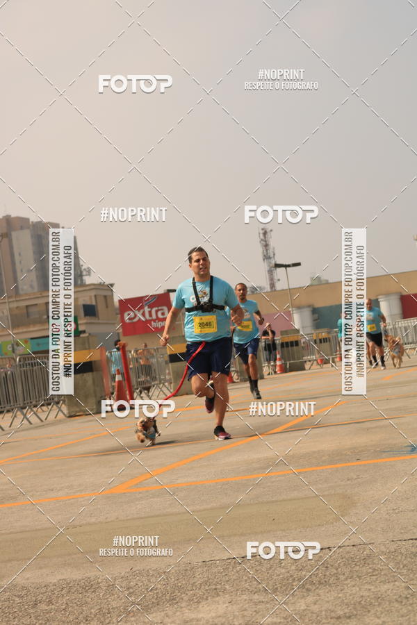 Buy your photos of the eventCorrida Scooby Doo Internacional Shopping Guarulhos 2019 on Fotop