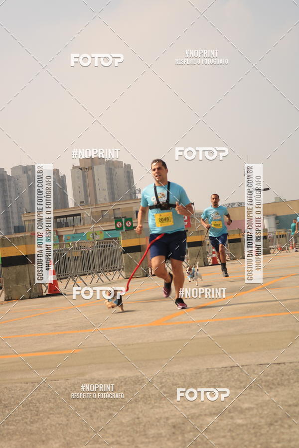 Buy your photos of the eventCorrida Scooby Doo Internacional Shopping Guarulhos 2019 on Fotop