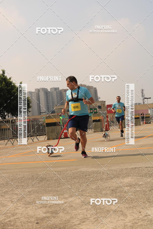 Buy your photos of the eventCorrida Scooby Doo Internacional Shopping Guarulhos 2019 on Fotop