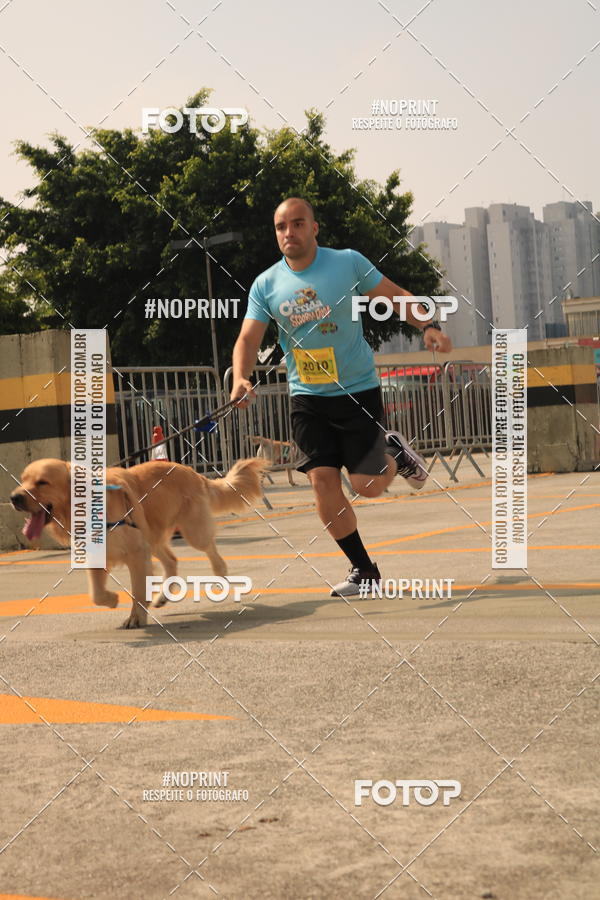 Buy your photos of the eventCorrida Scooby Doo Internacional Shopping Guarulhos 2019 on Fotop