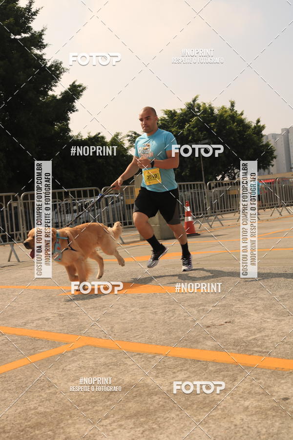 Buy your photos of the eventCorrida Scooby Doo Internacional Shopping Guarulhos 2019 on Fotop