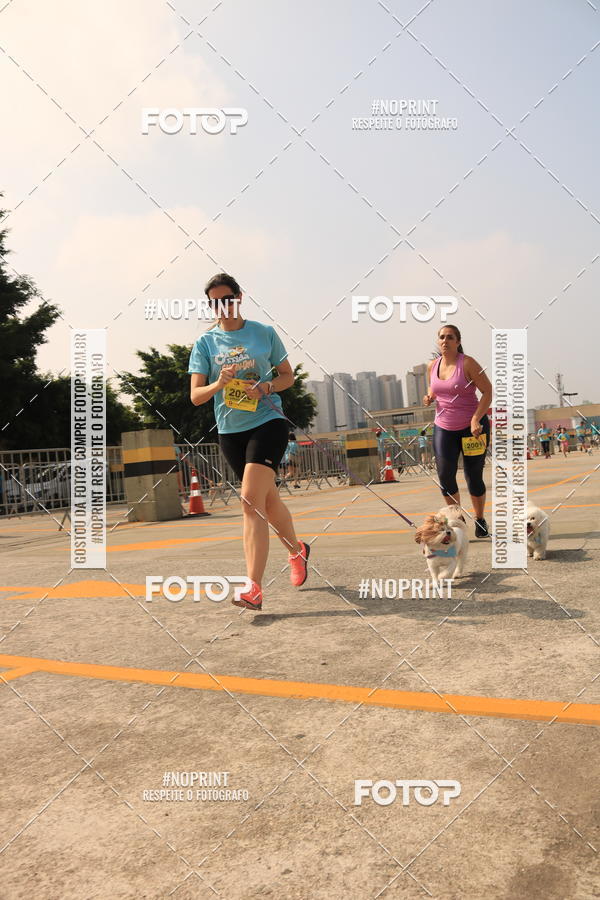 Buy your photos of the eventCorrida Scooby Doo Internacional Shopping Guarulhos 2019 on Fotop
