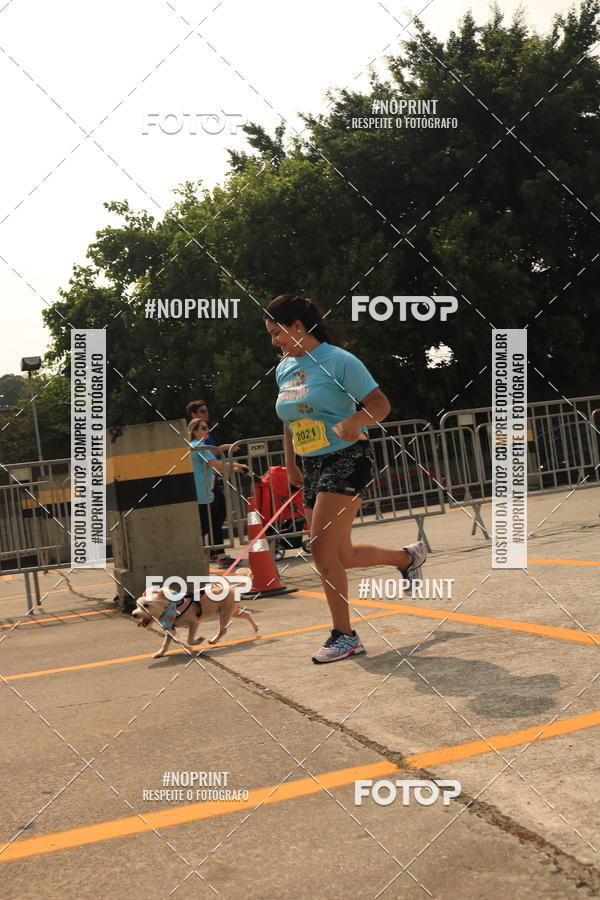 Buy your photos of the eventCorrida Scooby Doo Internacional Shopping Guarulhos 2019 on Fotop