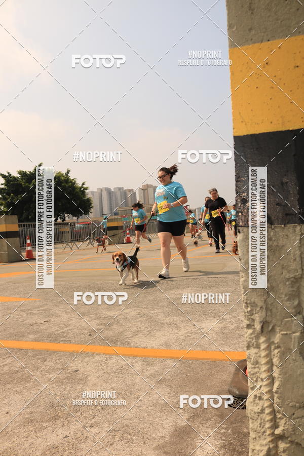 Buy your photos of the eventCorrida Scooby Doo Internacional Shopping Guarulhos 2019 on Fotop