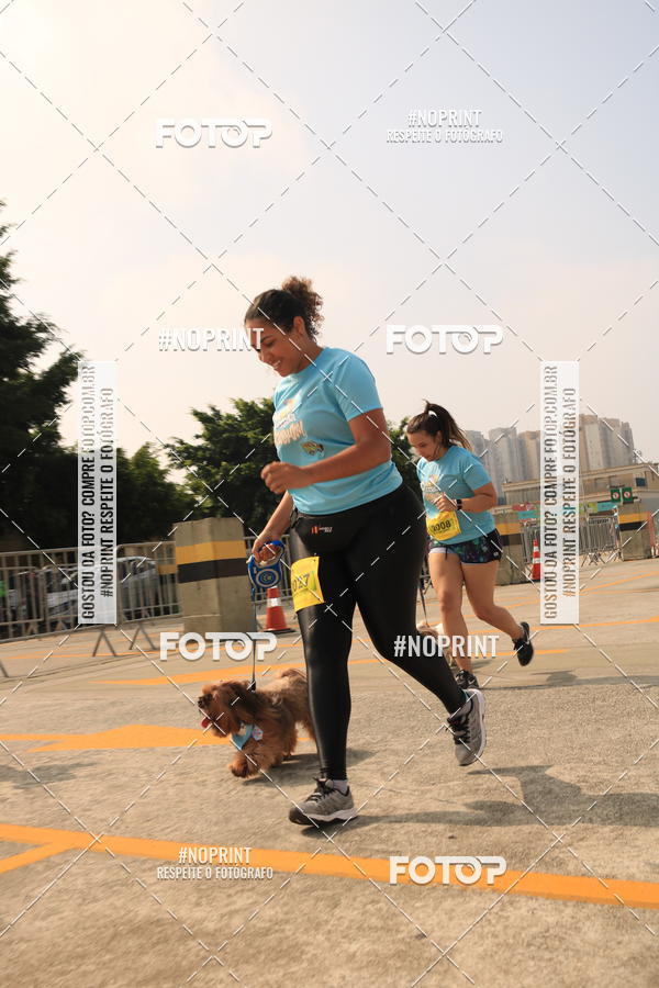 Buy your photos of the eventCorrida Scooby Doo Internacional Shopping Guarulhos 2019 on Fotop