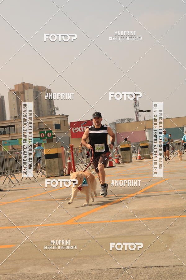 Buy your photos of the eventCorrida Scooby Doo Internacional Shopping Guarulhos 2019 on Fotop