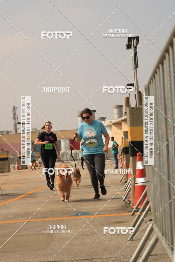 Buy your photos of the eventCorrida Scooby Doo Internacional Shopping Guarulhos 2019 on Fotop