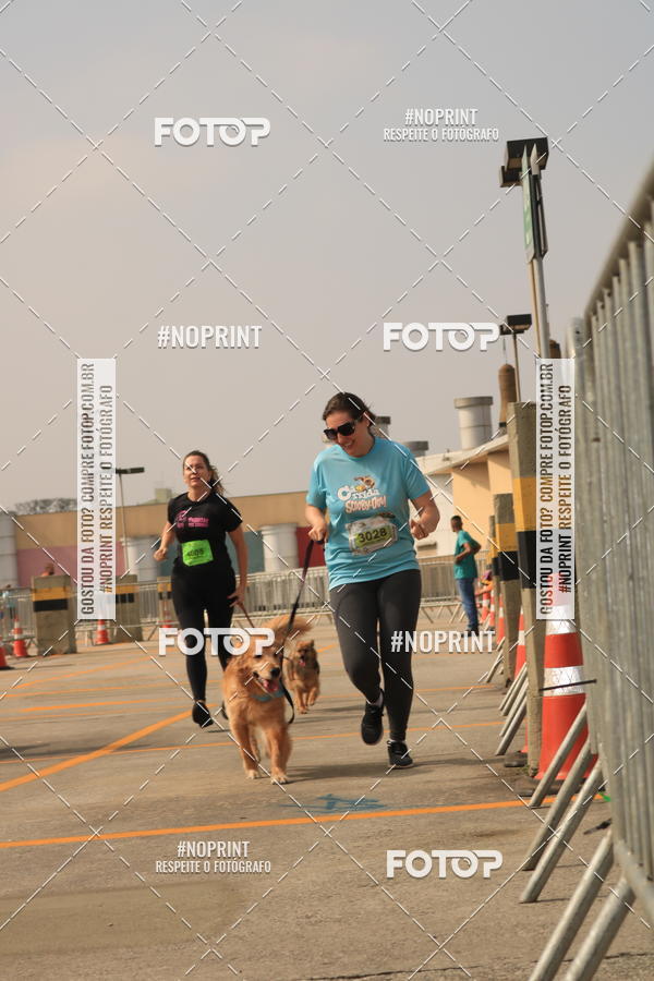 Buy your photos of the eventCorrida Scooby Doo Internacional Shopping Guarulhos 2019 on Fotop