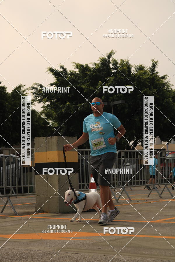 Buy your photos of the eventCorrida Scooby Doo Internacional Shopping Guarulhos 2019 on Fotop