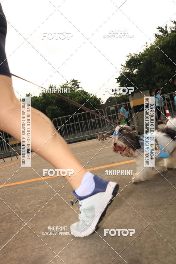 Buy your photos of the eventCorrida Scooby Doo Internacional Shopping Guarulhos 2019 on Fotop
