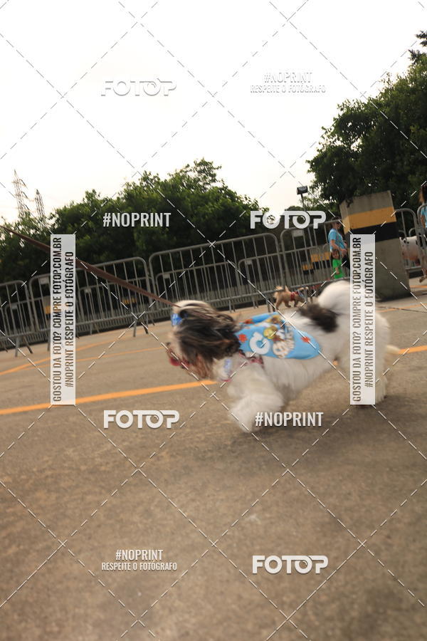 Buy your photos of the eventCorrida Scooby Doo Internacional Shopping Guarulhos 2019 on Fotop