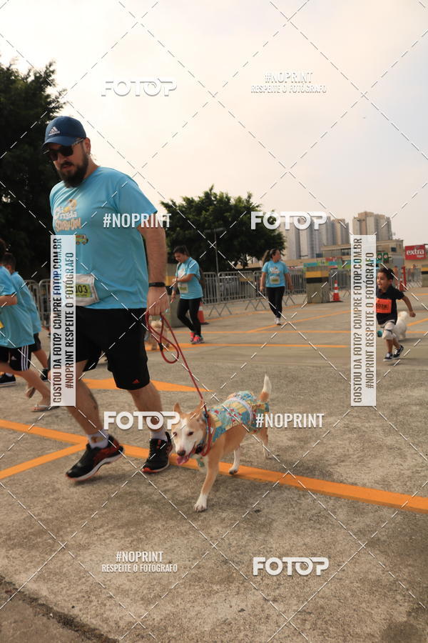 Buy your photos of the eventCorrida Scooby Doo Internacional Shopping Guarulhos 2019 on Fotop