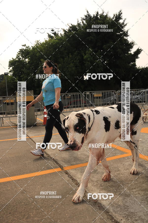 Buy your photos of the eventCorrida Scooby Doo Internacional Shopping Guarulhos 2019 on Fotop