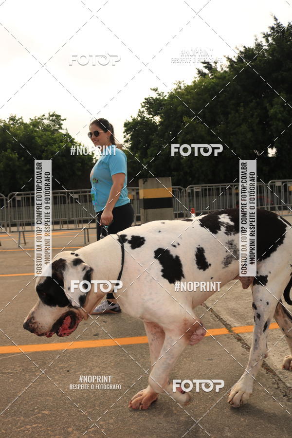 Buy your photos of the eventCorrida Scooby Doo Internacional Shopping Guarulhos 2019 on Fotop