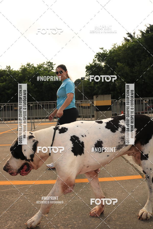 Buy your photos of the eventCorrida Scooby Doo Internacional Shopping Guarulhos 2019 on Fotop