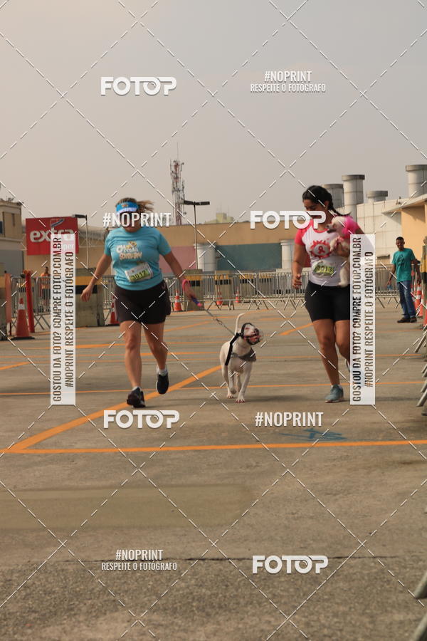 Buy your photos of the eventCorrida Scooby Doo Internacional Shopping Guarulhos 2019 on Fotop