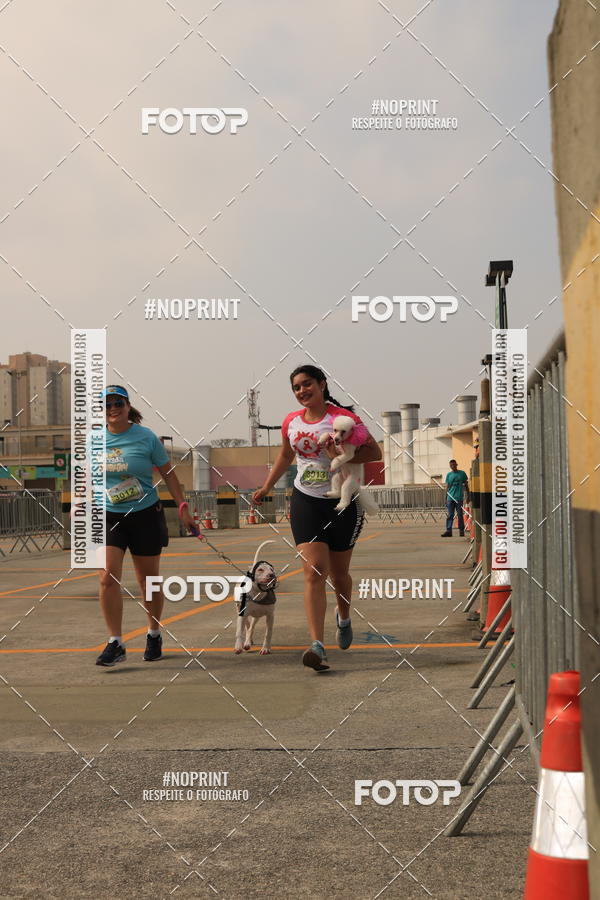 Buy your photos of the eventCorrida Scooby Doo Internacional Shopping Guarulhos 2019 on Fotop
