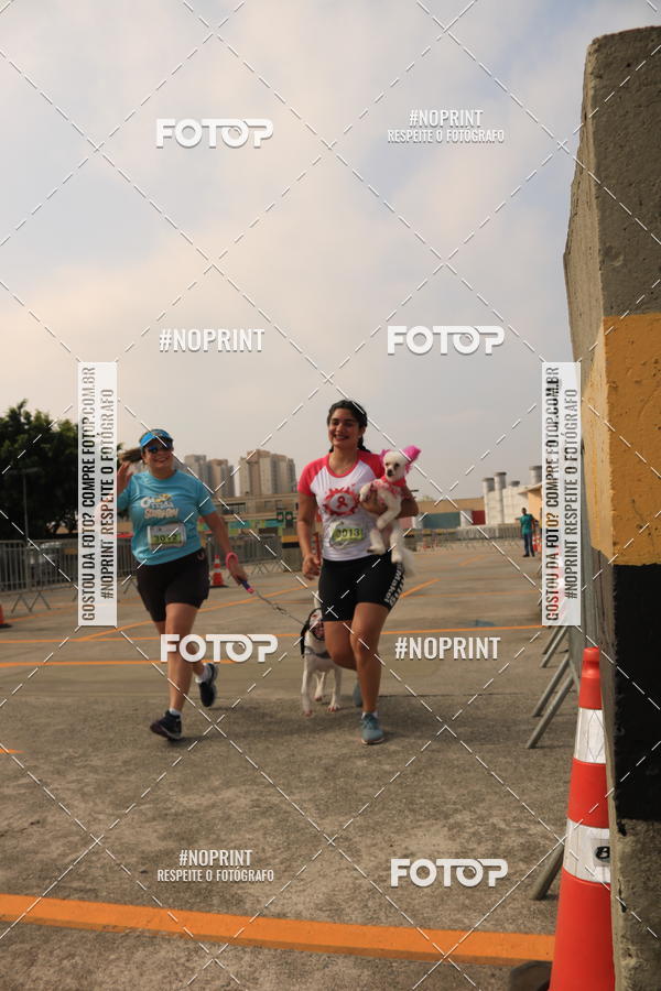 Buy your photos of the eventCorrida Scooby Doo Internacional Shopping Guarulhos 2019 on Fotop