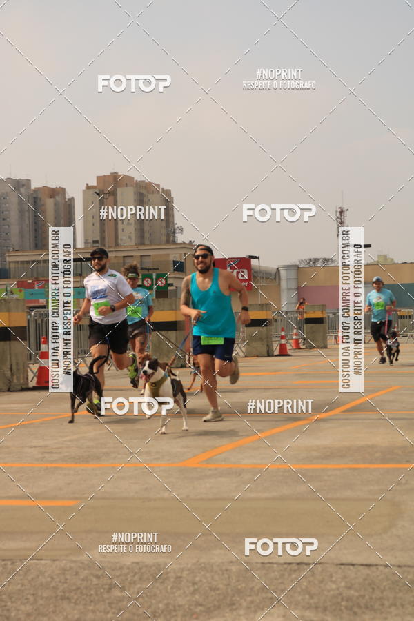 Buy your photos of the eventCorrida Scooby Doo Internacional Shopping Guarulhos 2019 on Fotop