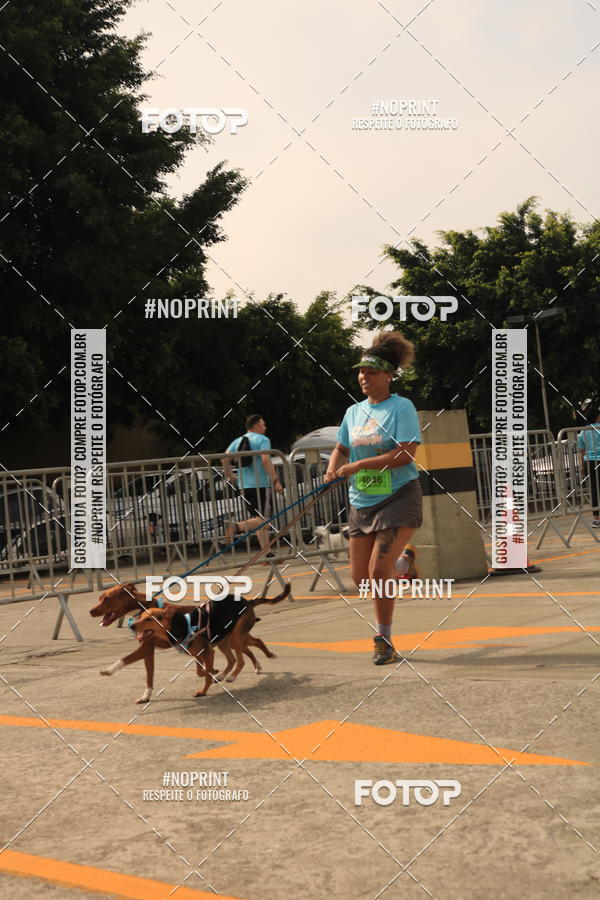 Buy your photos of the eventCorrida Scooby Doo Internacional Shopping Guarulhos 2019 on Fotop