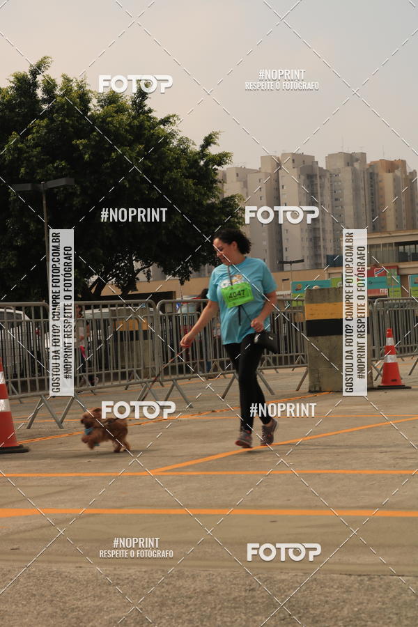 Buy your photos of the eventCorrida Scooby Doo Internacional Shopping Guarulhos 2019 on Fotop