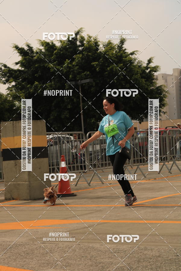 Buy your photos of the eventCorrida Scooby Doo Internacional Shopping Guarulhos 2019 on Fotop