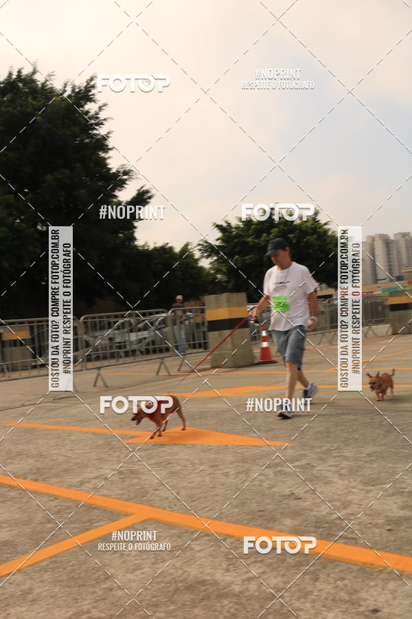 Buy your photos of the eventCorrida Scooby Doo Internacional Shopping Guarulhos 2019 on Fotop