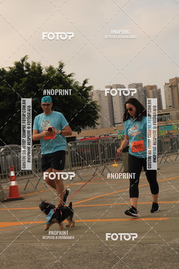 Buy your photos of the eventCorrida Scooby Doo Internacional Shopping Guarulhos 2019 on Fotop