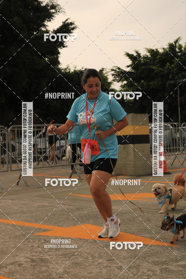 Buy your photos of the eventCorrida Scooby Doo Internacional Shopping Guarulhos 2019 on Fotop