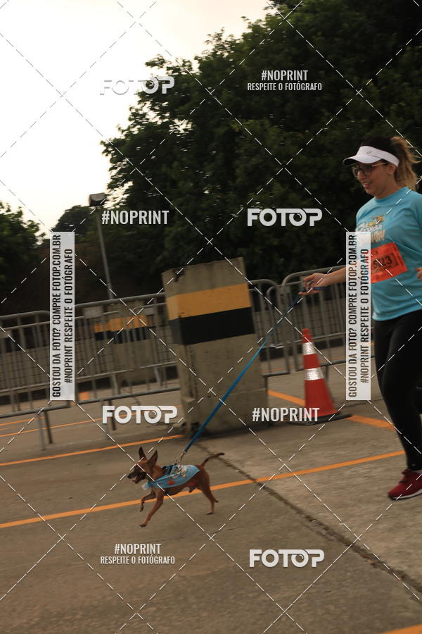 Buy your photos of the eventCorrida Scooby Doo Internacional Shopping Guarulhos 2019 on Fotop