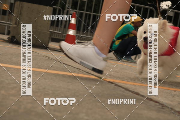 Buy your photos of the eventCorrida Scooby Doo Internacional Shopping Guarulhos 2019 on Fotop