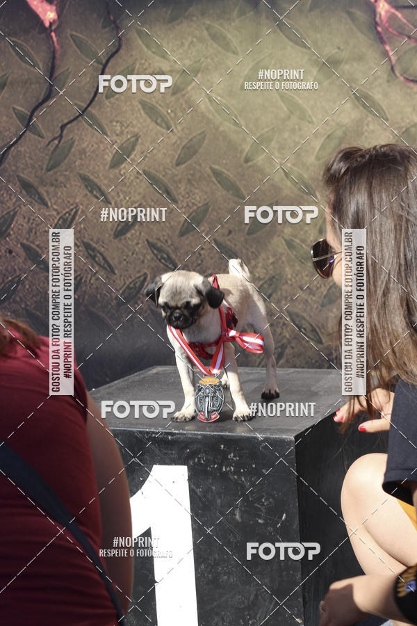 Buy your photos of the eventRun&Burn on Fotop