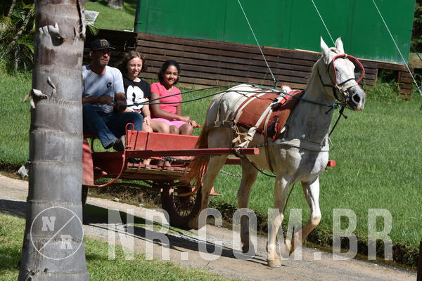 Buy your photos of the eventNR2 - Classico 22 a 24/03/19 on Fotop