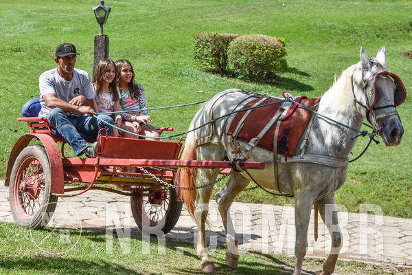 Buy your photos of the eventNR2 - Classico 22 a 24/03/19 on Fotop