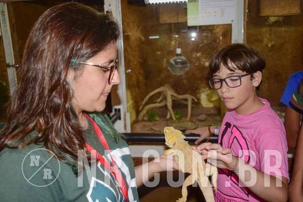 Buy your photos of the eventNR1 - English & Action 22 a 24/03/19 on Fotop