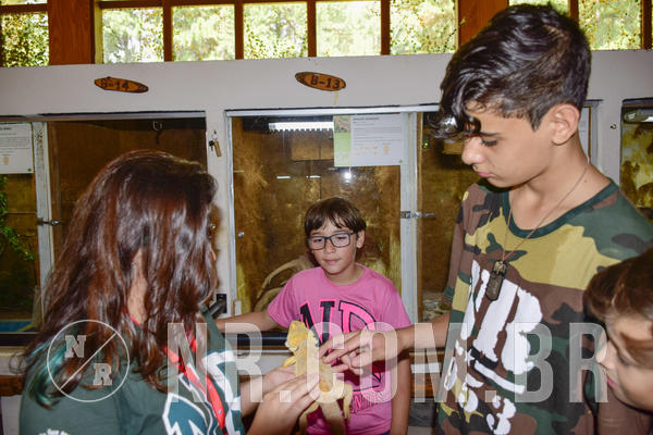 Buy your photos of the eventNR1 - English & Action 22 a 24/03/19 on Fotop